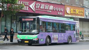 99053-浙C12162-B302路-KLQ6109.jpg