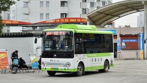 浙C03616D-乐清217路-ZK6605.jpg