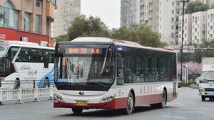 11239-浙C30996-26路-ZK6126.jpg