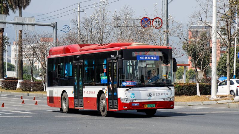 文件:11643-浙C08636F-65路-XMQ6106.jpg