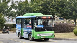 718225-浙C05028D-洞头6路-ZK6650.jpg