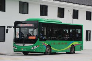 浙C07687D-永嘉60路-ZK6850.jpg