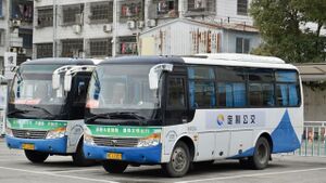 浙CL2207-乐清K113路-ZK6752.jpg