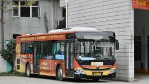 11344-浙C12176-26路-ZK6125.jpg