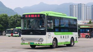 浙C08917D-乐清109路-ZK6650.jpg