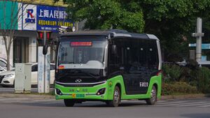 浙C02306D-乐清微2002路-XMQ6601AGBEVL1.jpg