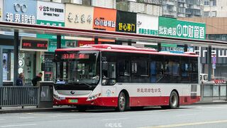 ZK6105CHEVPG36