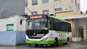 浙C01315D-乐清608路-LCK6669.jpg