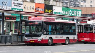 ZK6850CHEVPG21（机动车）