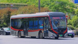 99352-浙C09506D-B102路-ZK6125-2.jpg