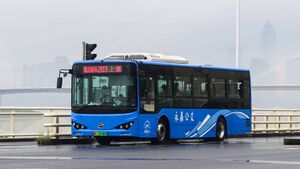 浙C31168D-永嘉203路-BYD6100.jpg