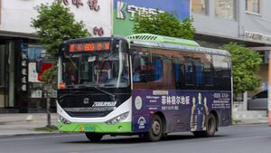 浙C02608D-乐清609路-LCK6669.jpg