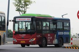 ZK6775HG1