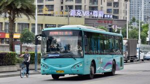 12138-浙C28818-91路-SWB6107.jpg