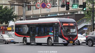 ZK6125BEVG25